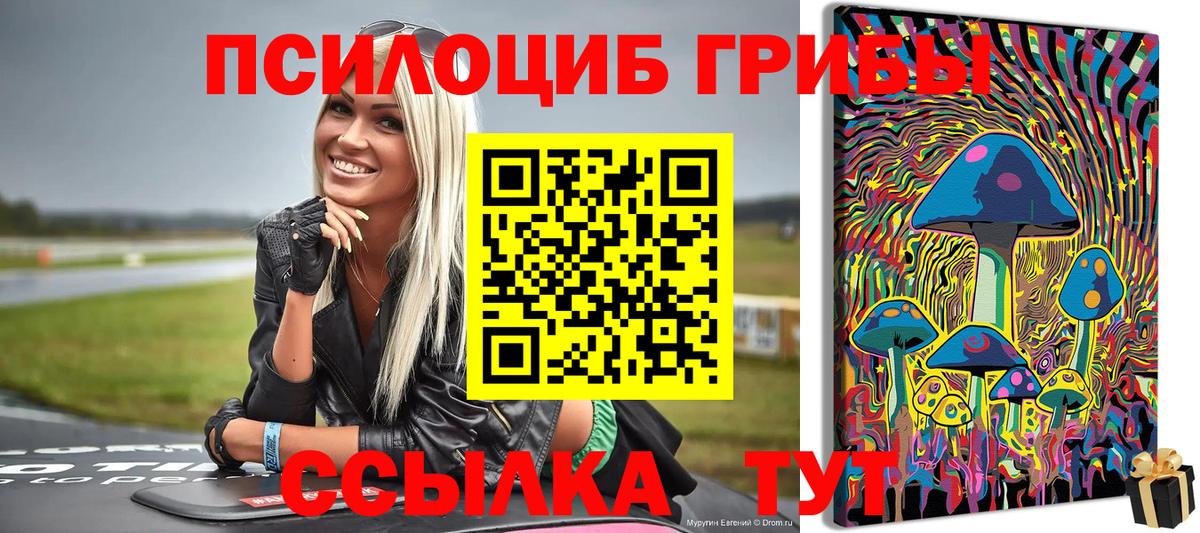 Шебекино  Галлюциногенные грибы Cubensis  Вход с VPN 