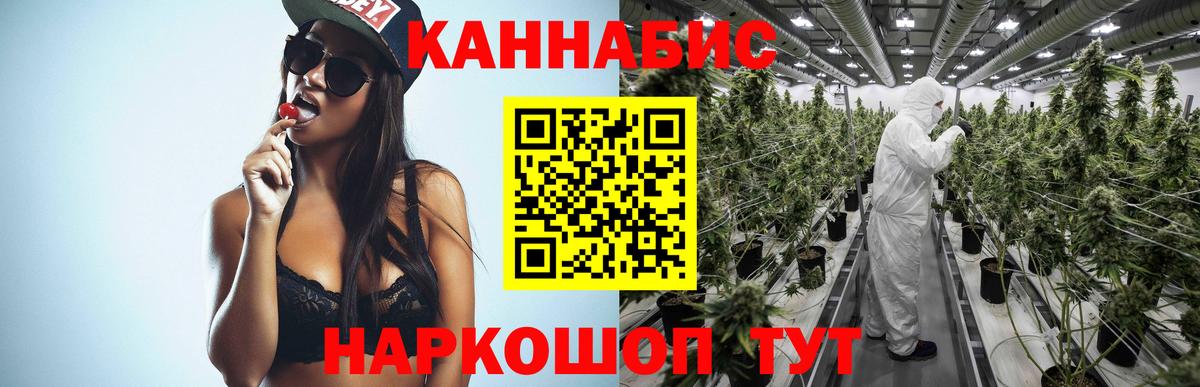 Шебекино  Конопля марихуана  Вход с VPN  Конопля OG Kush 